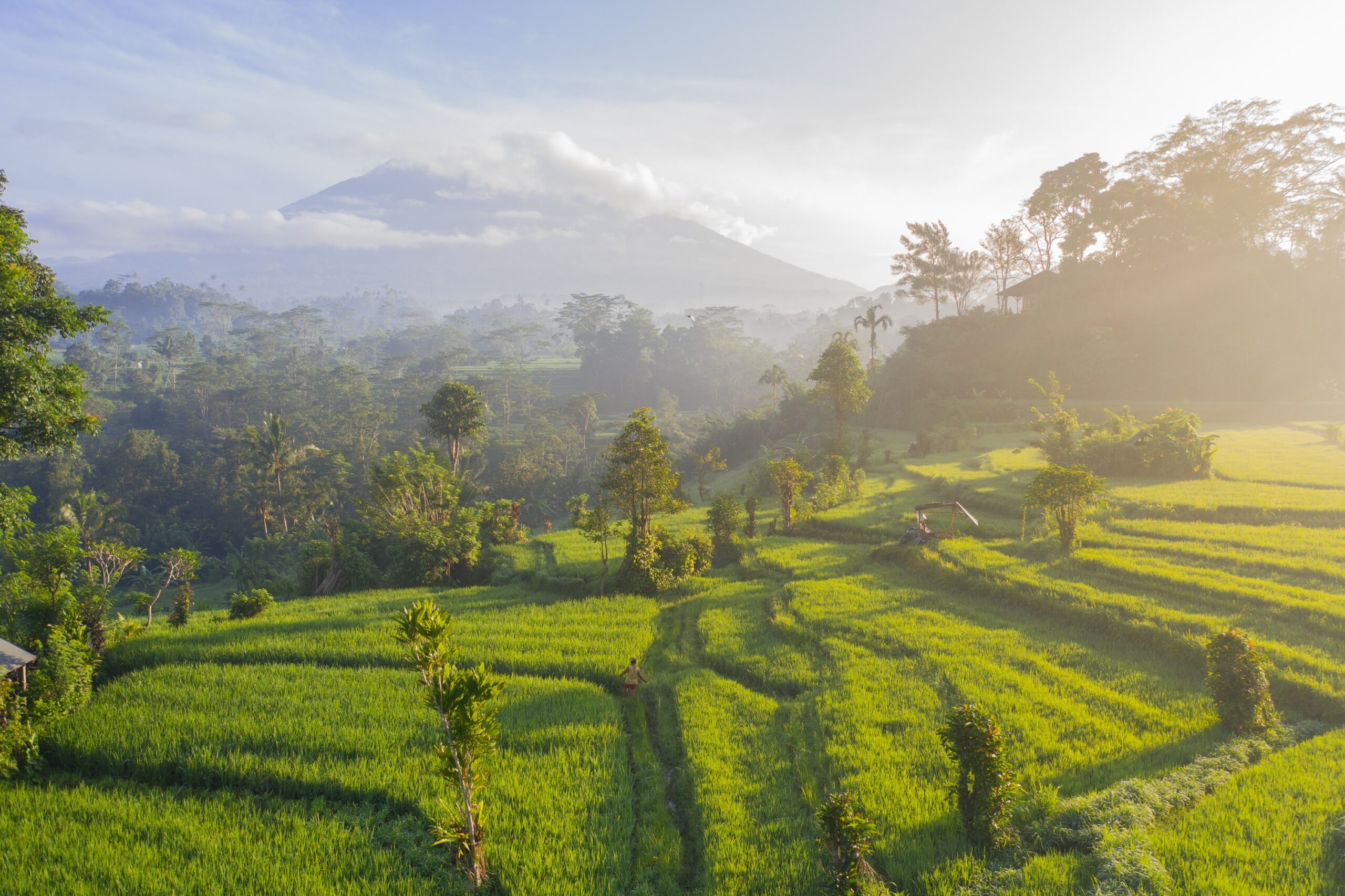 Bali