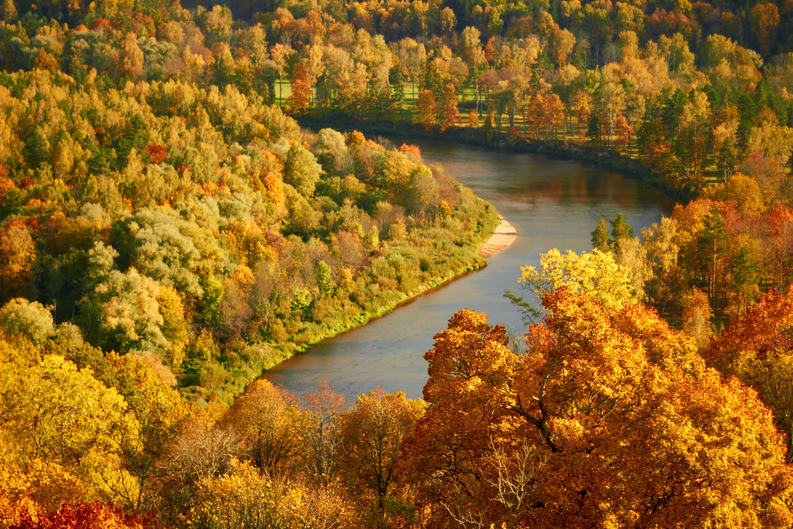 Gauja National Park