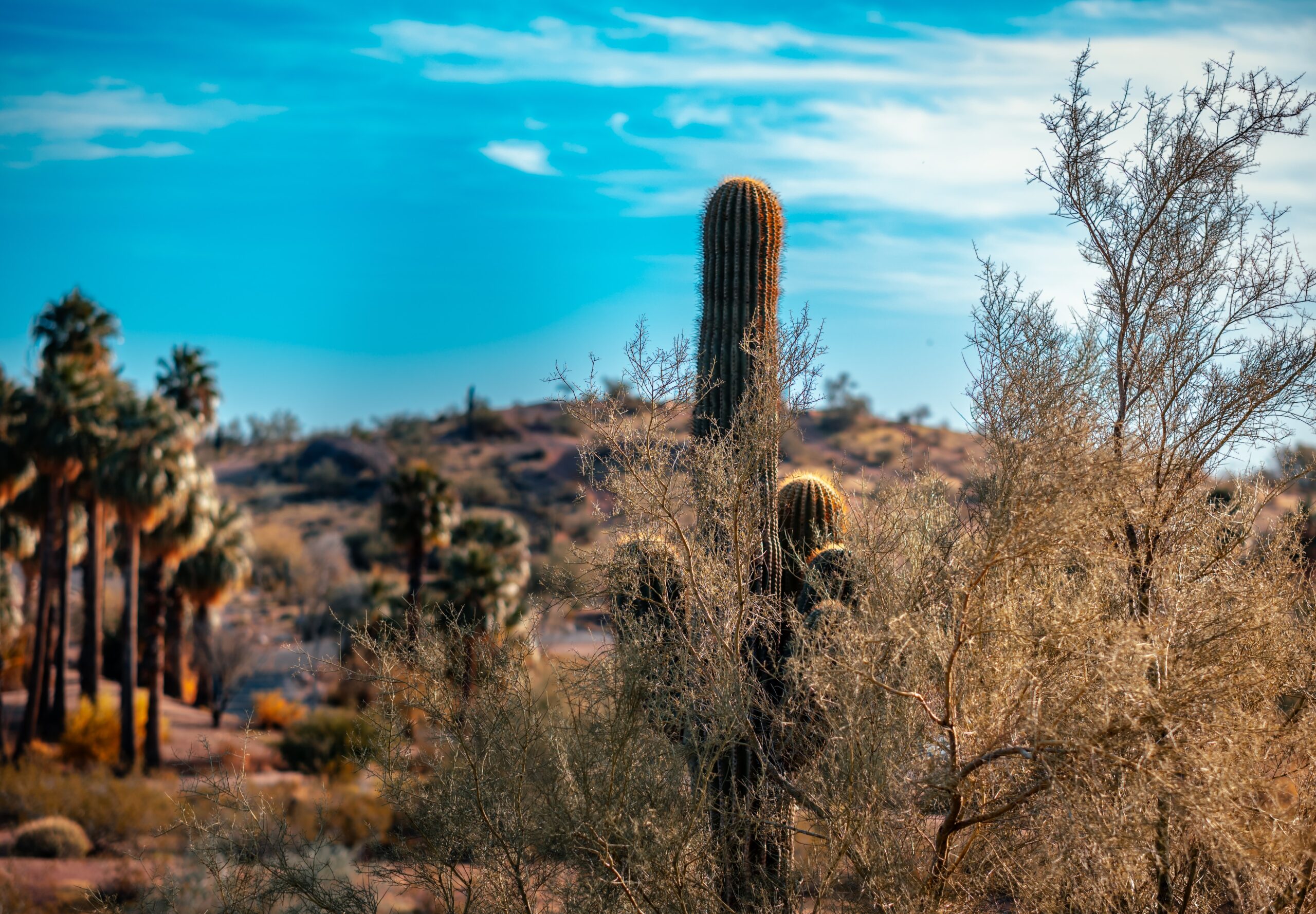 City of Rocks State Park