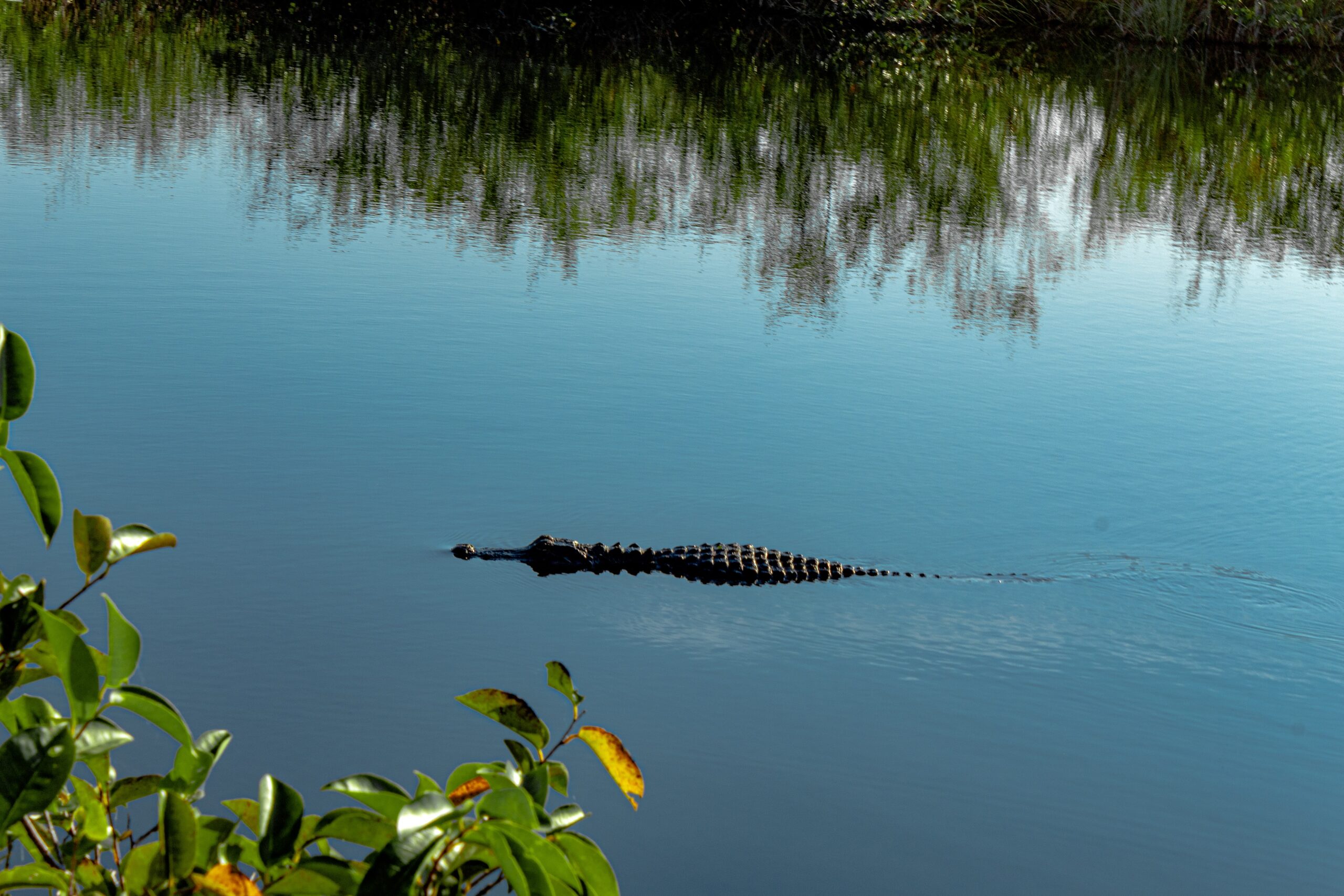 Everglades National Park