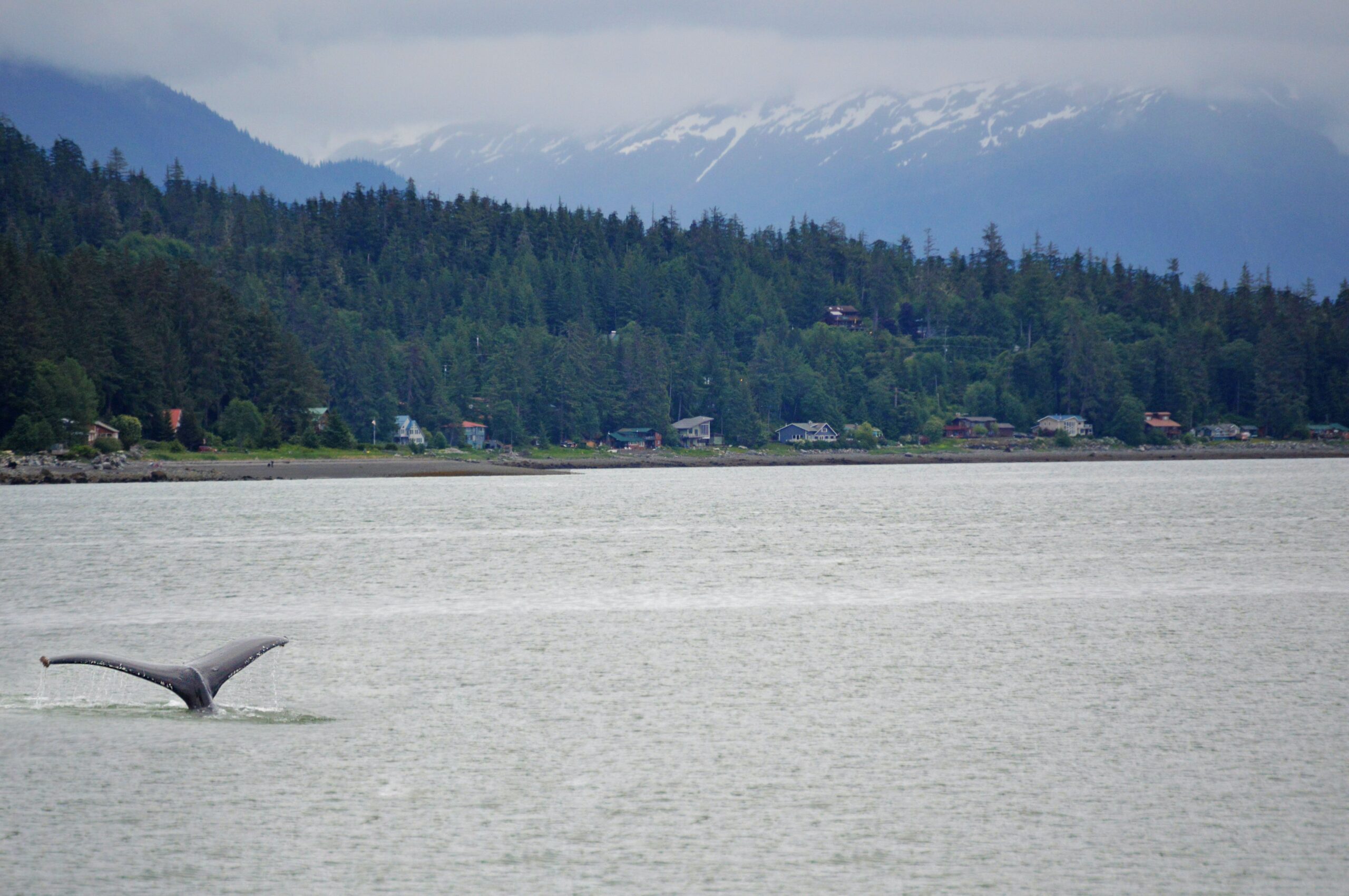 Juneau, AK