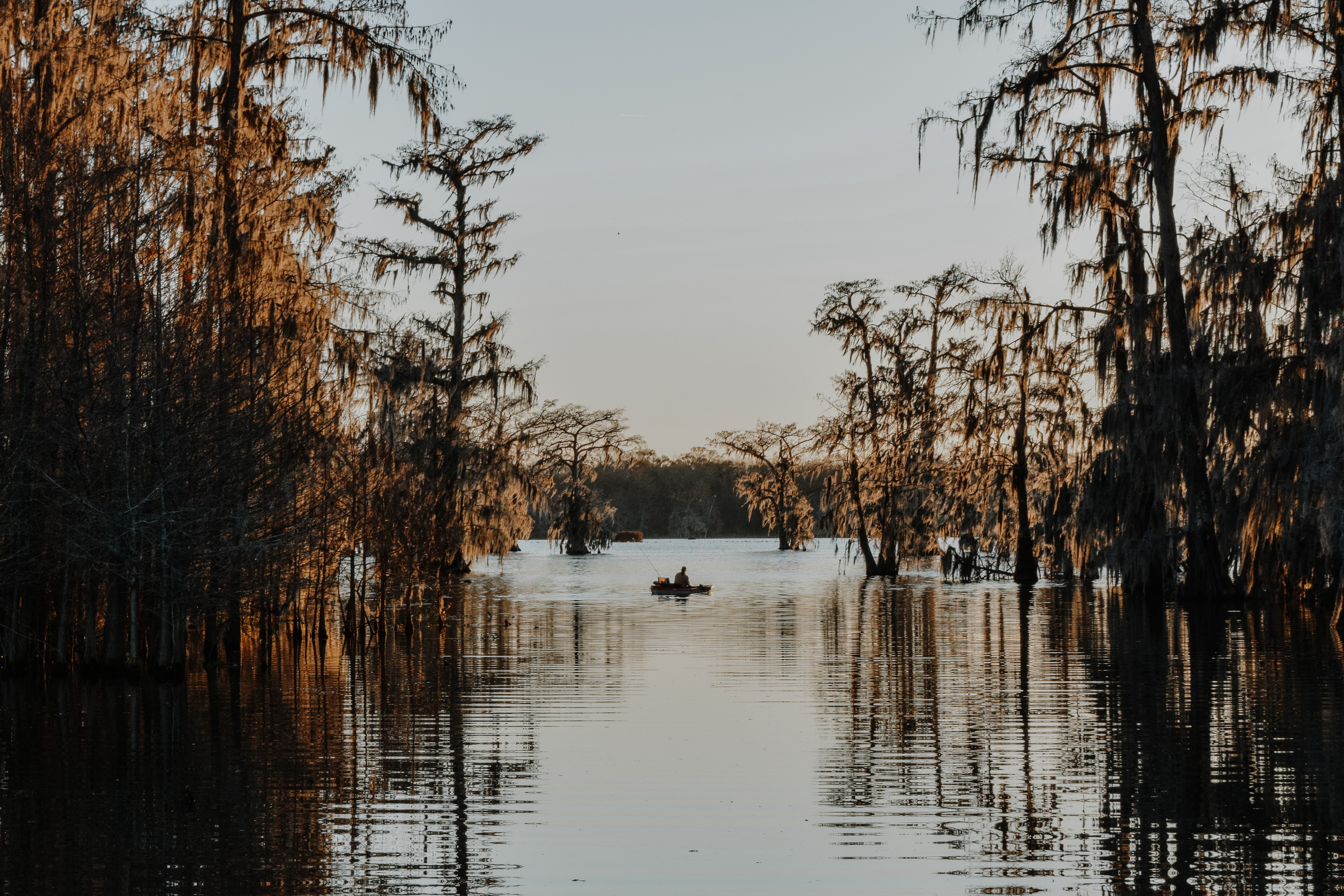 Lafayette, LA