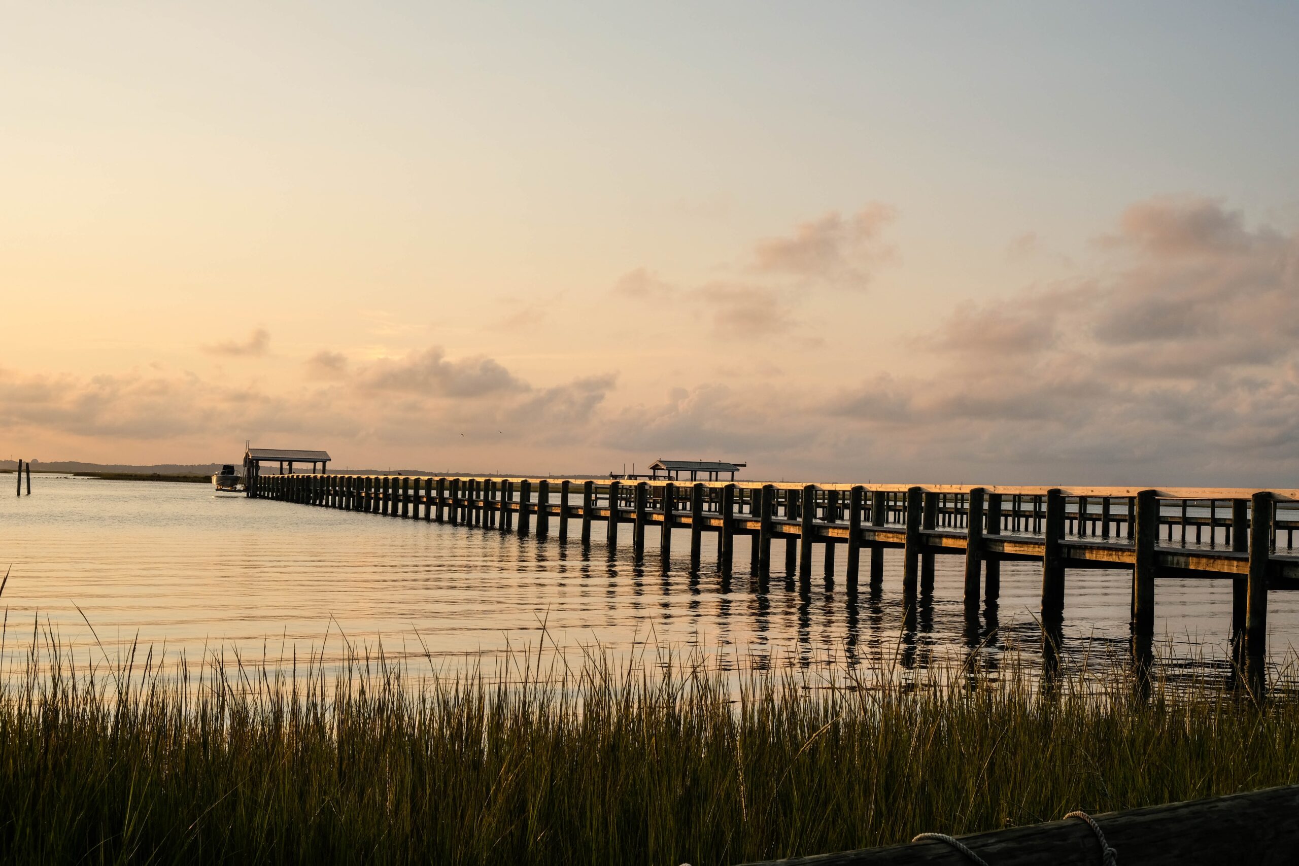 Chincoteague, VA