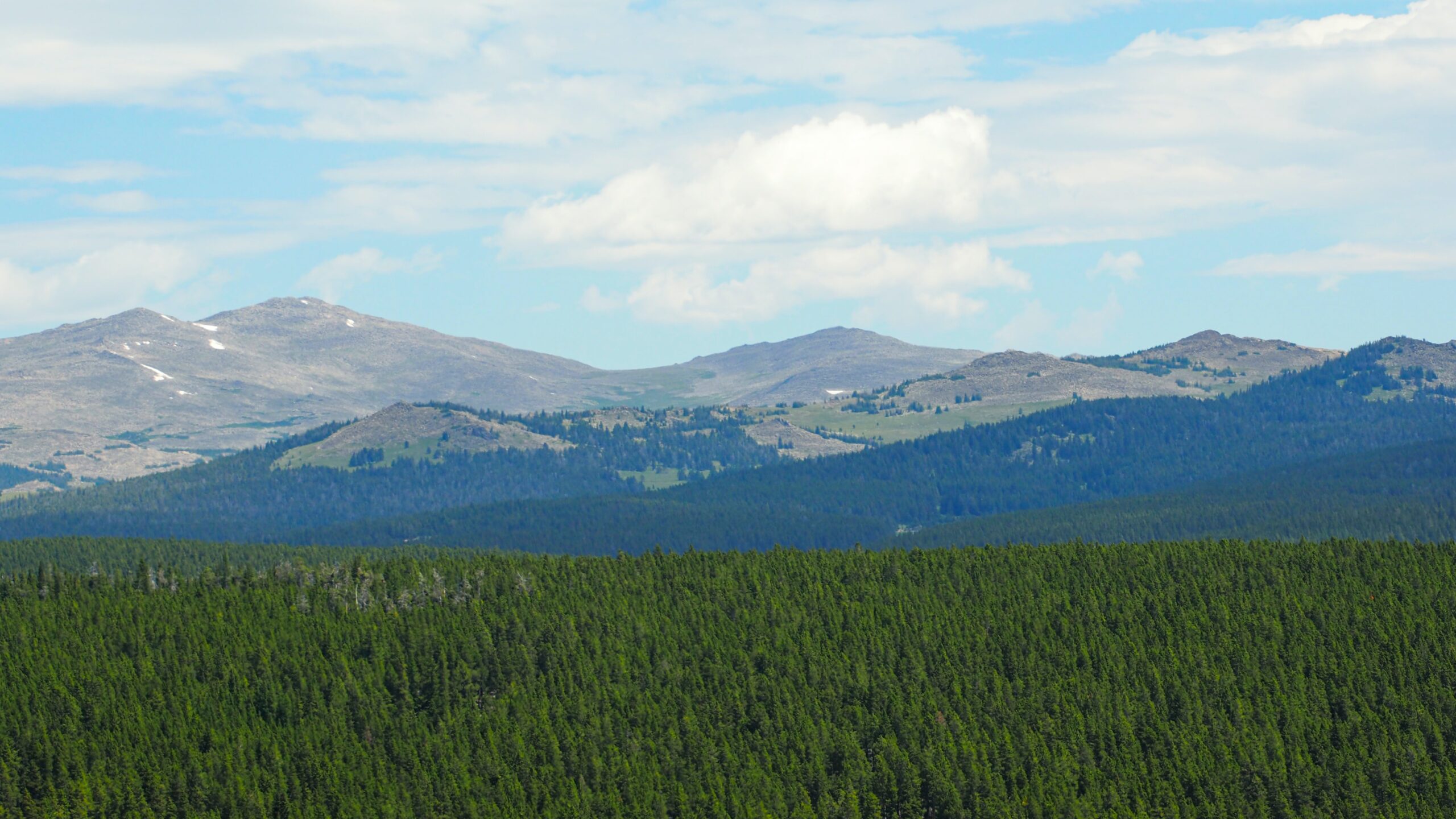 Bighorn National Forest