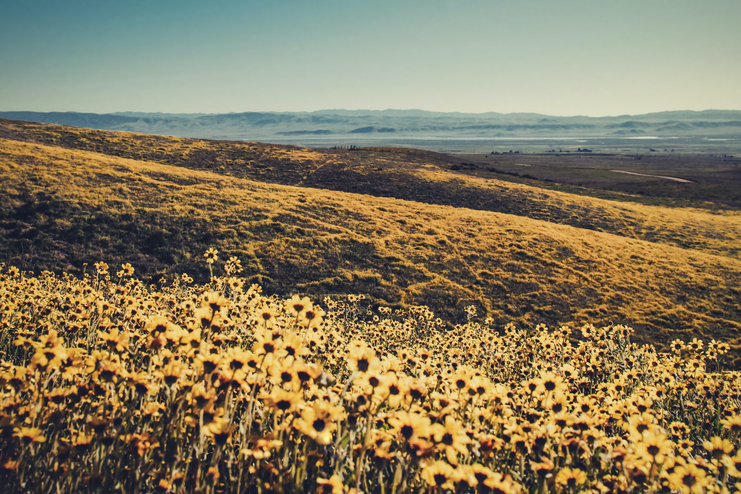 Carrizo Plain National Monument