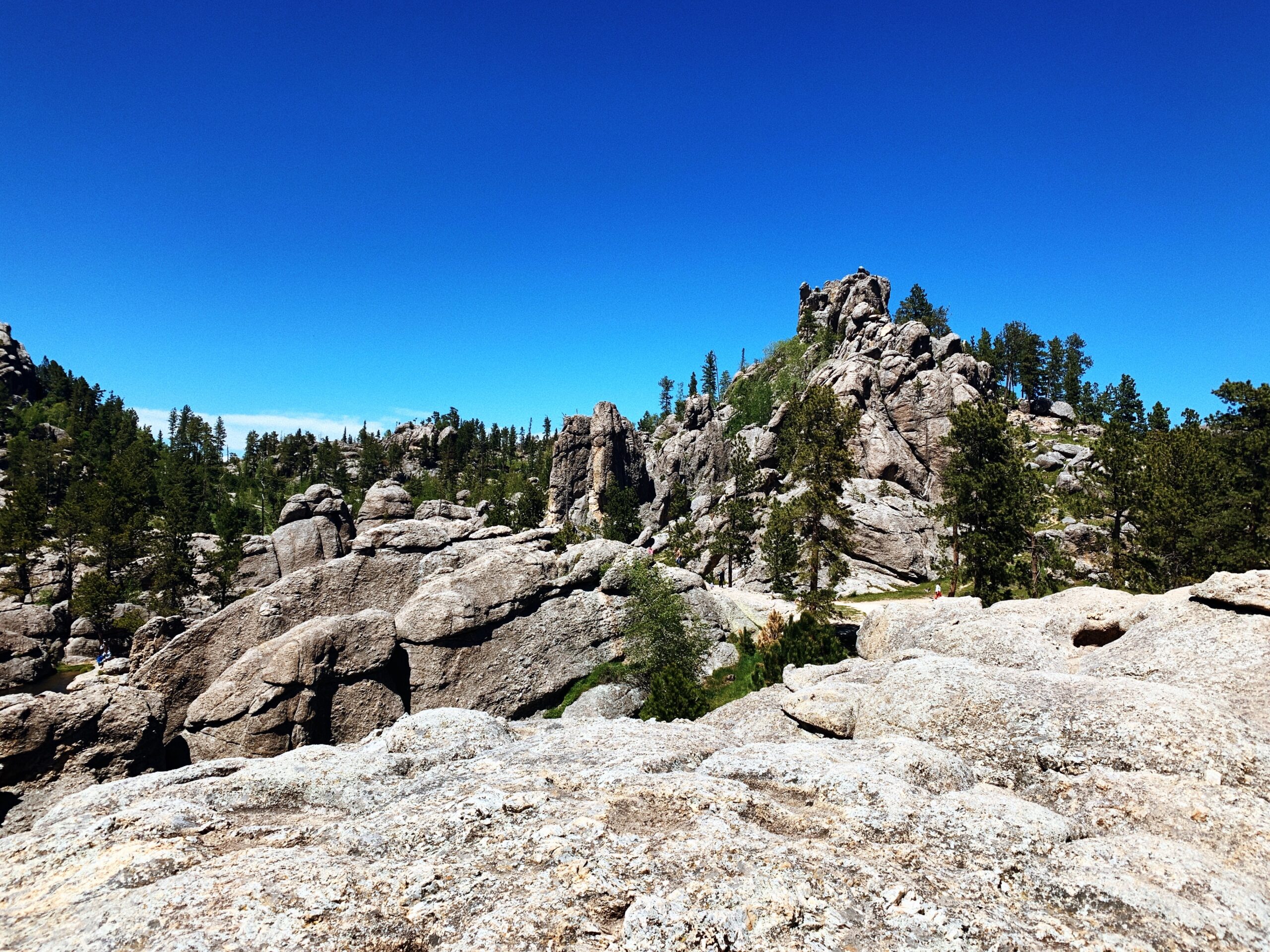 Custer State Park