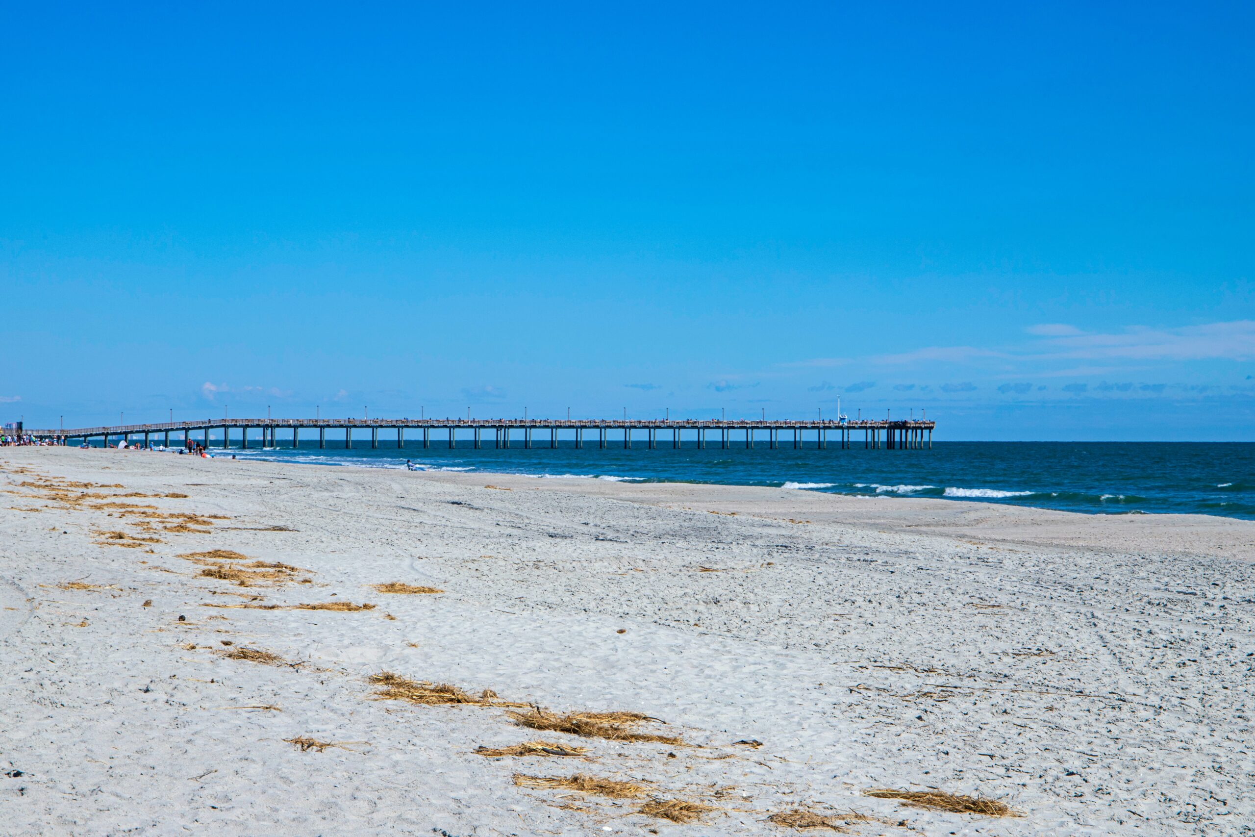 Myrtle Beach State Park