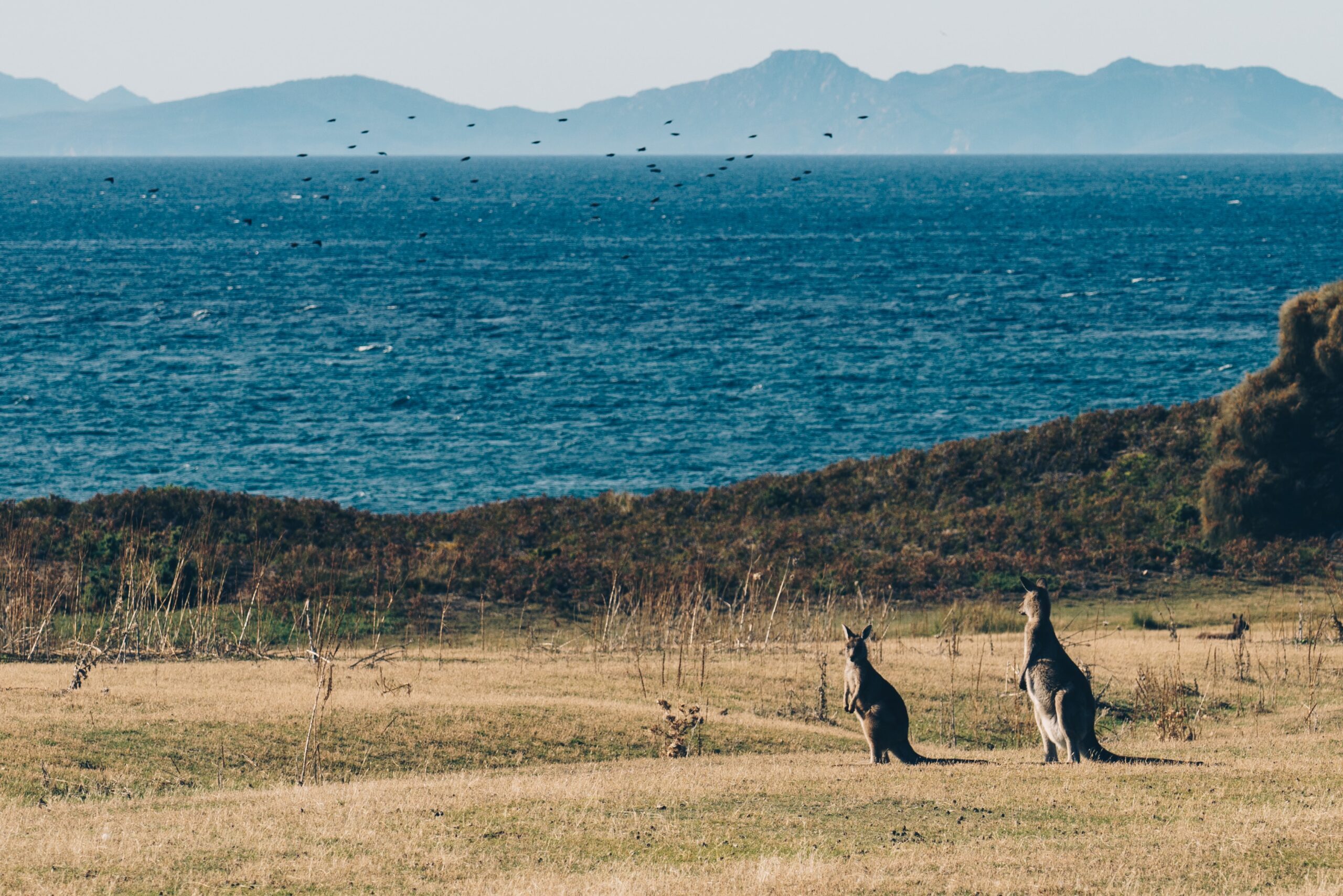 Kangaroo Island