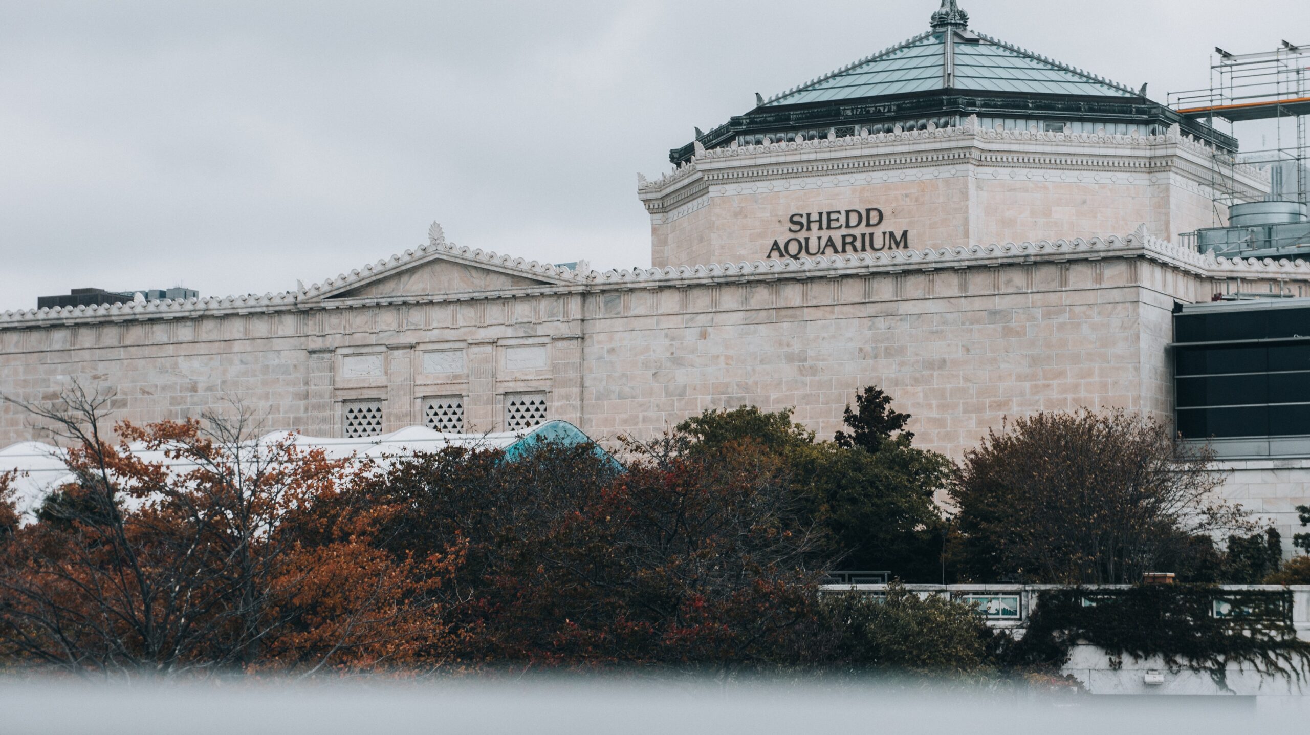 Shedd Aquarium