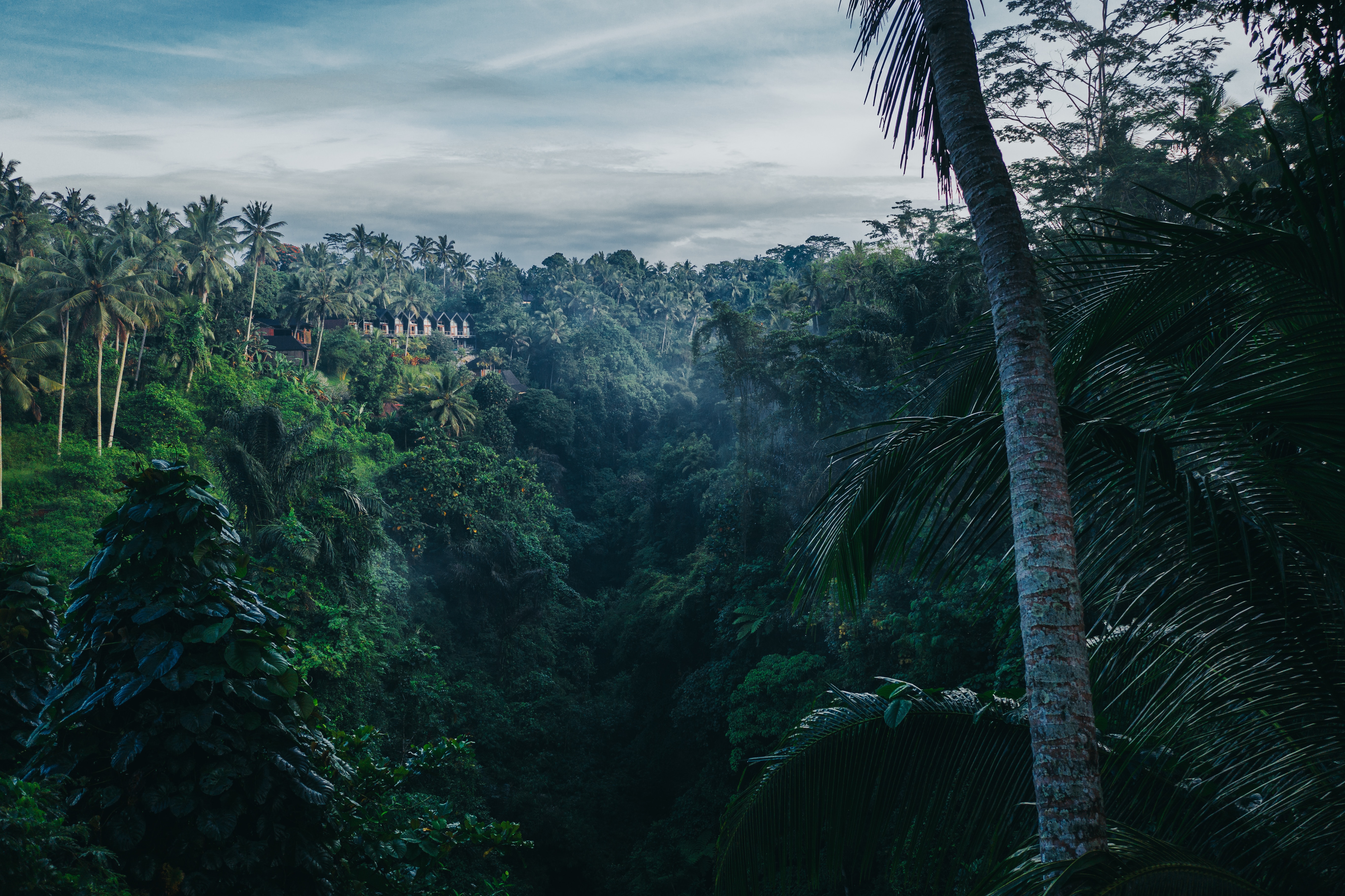 Ubud, Indonesia