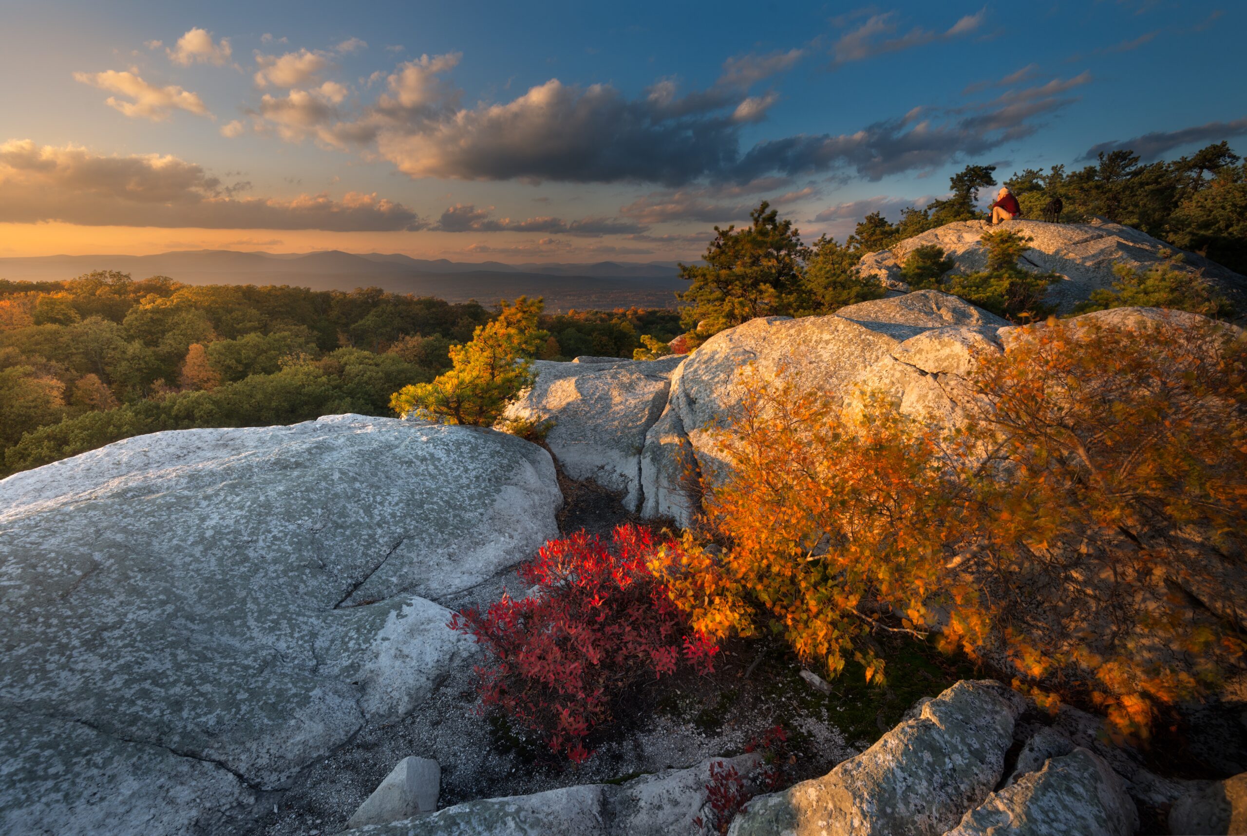 New Paltz, NY